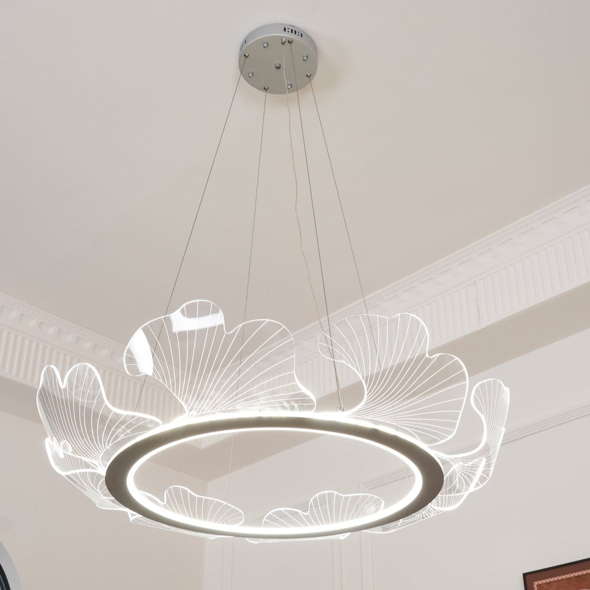 Pendellampa LED Rund i Akryl | Guld eller Silver med Klar Akryl | Varmvit eller Dimbar | Ø 68–108 cm