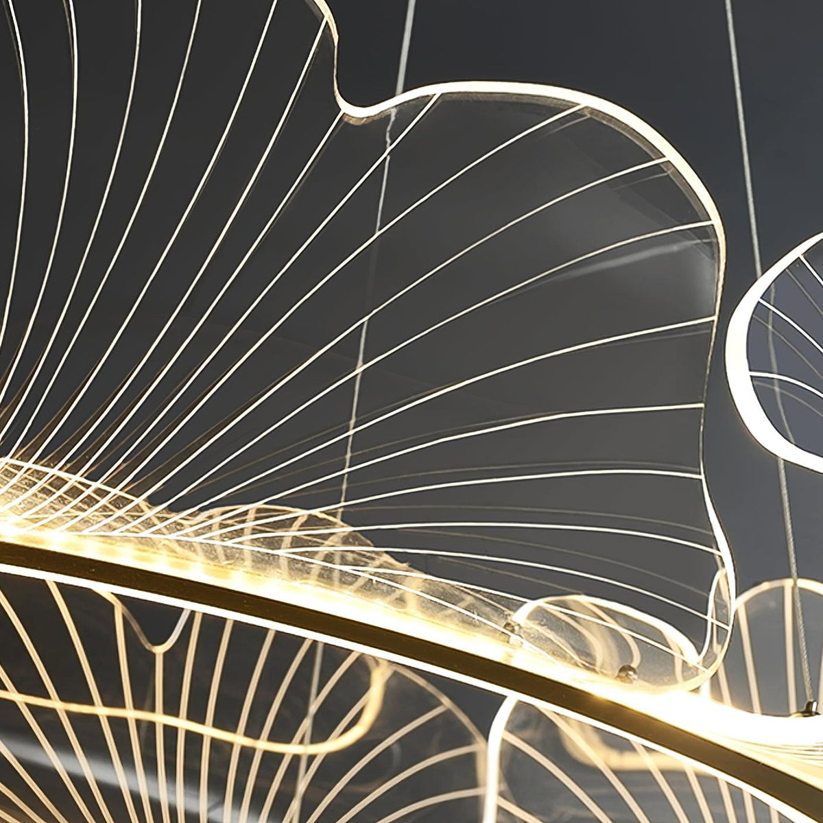 Pendellampa LED Rund i Akryl | Guld eller Silver med Klar Akryl | Varmvit eller Dimbar | Ø 68–108 cm